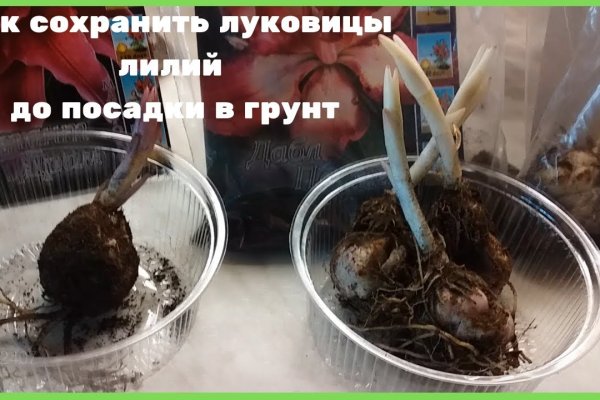 Кракен интернет площадка