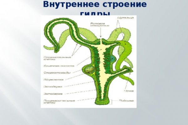 Кракен адрес тор